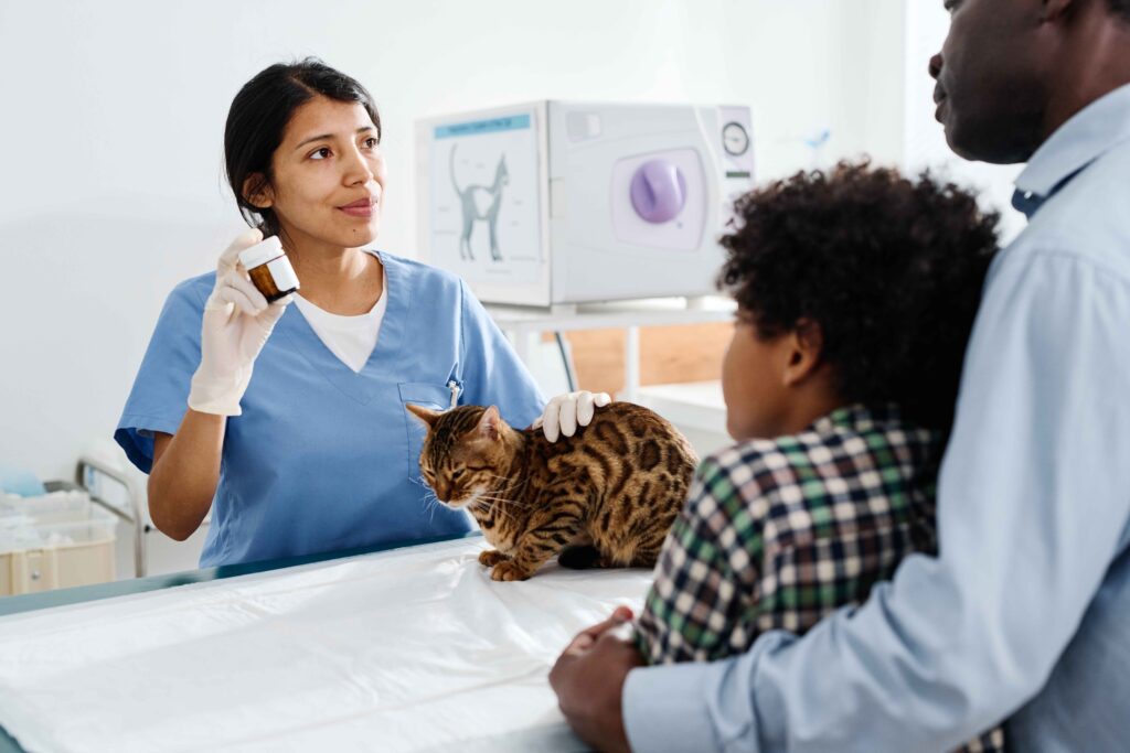 doctor-telling-how-to-treat-cat-2023-11-27-05-33-13-utc