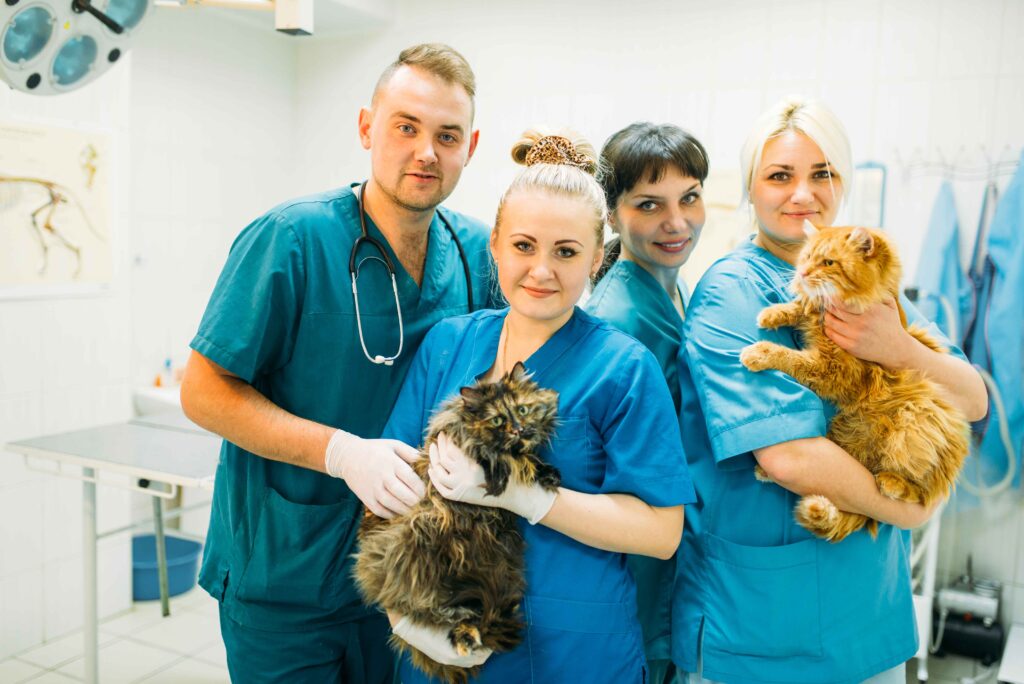 veterinarians-poses-with-cats-veterinary-clinic-2024-11-29-20-34-24-utc (1)